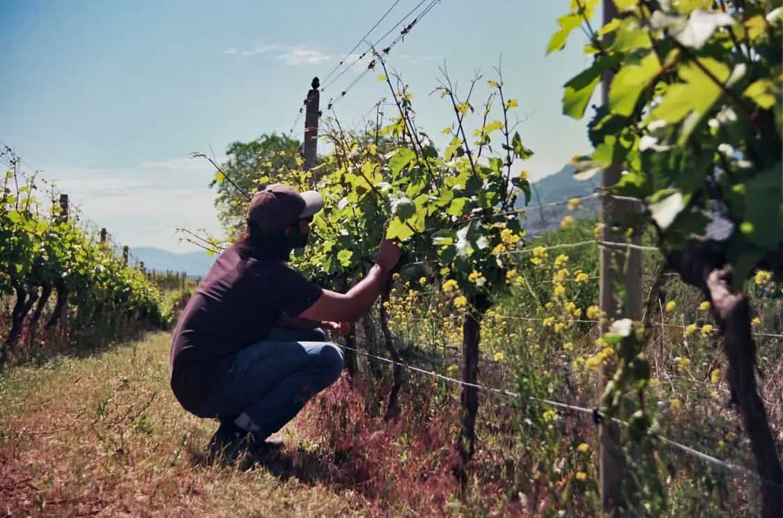 Rajen_Toor_Ursa_Major