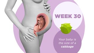 Pregnancy week by week 30