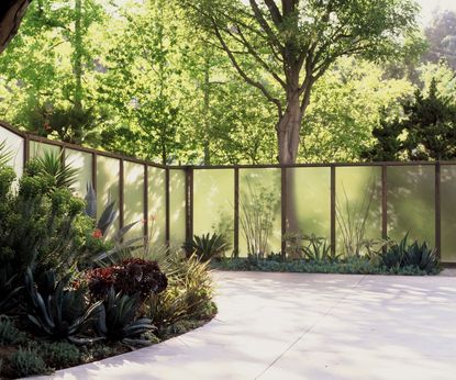 garden fencing ideas translucent screen in cactus garden