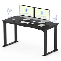 FlexiSpot 4 Leg Standing Desk (55 x 28 inch)