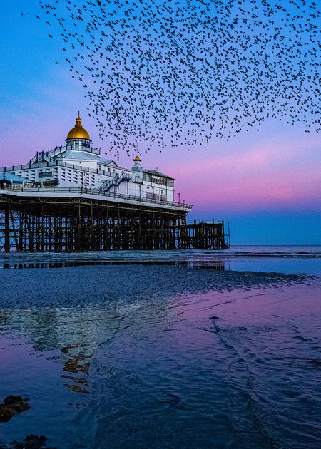 Brighton Pier. Credit: Ellis Skelton / Light & Land on the Mall