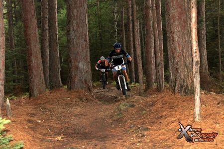 Guerra leads House through the trees