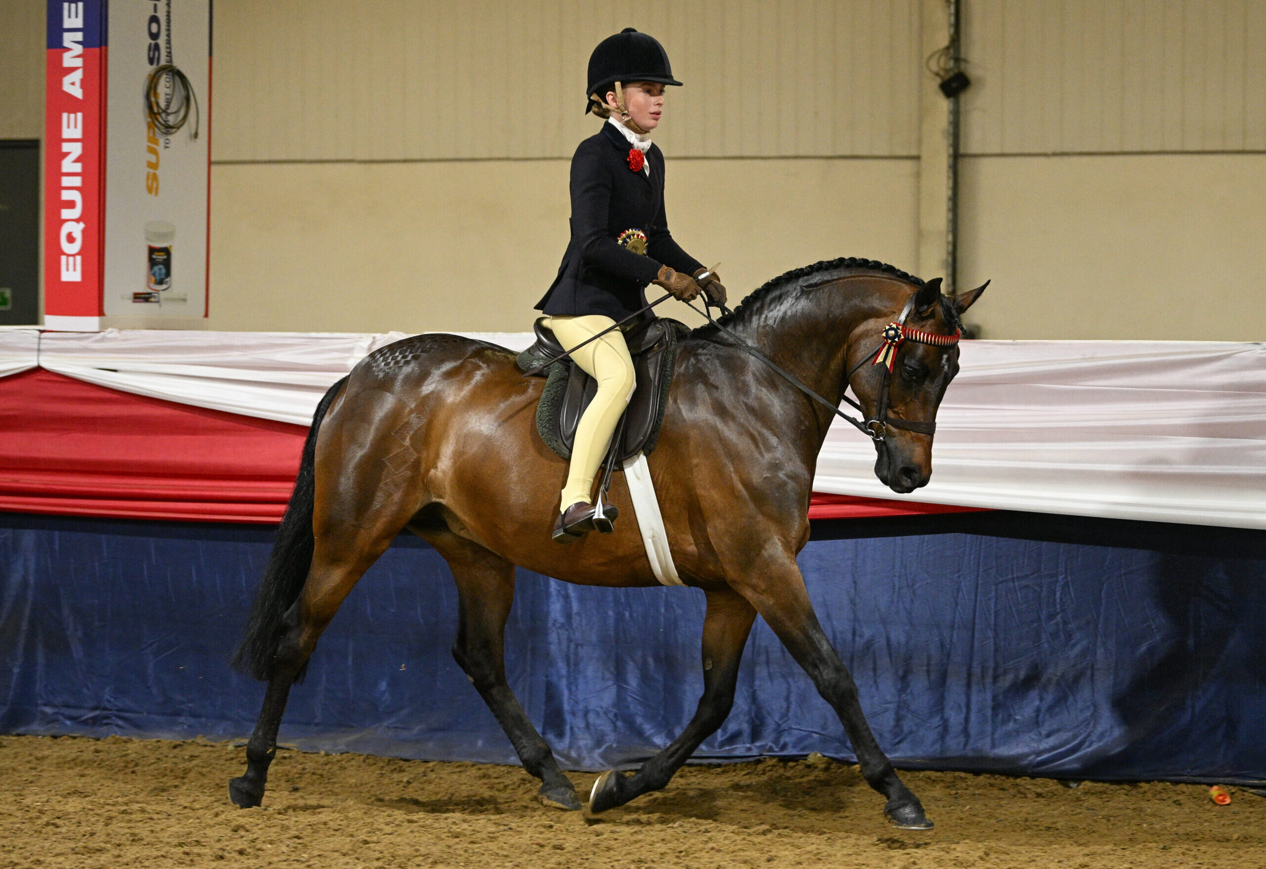 Highmead Cat's Eye and Daisy May Allen trot to the novice show pony title