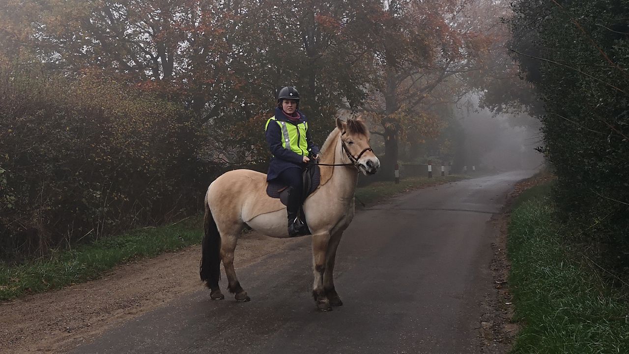 Vizirider Hi Vis Vest in road