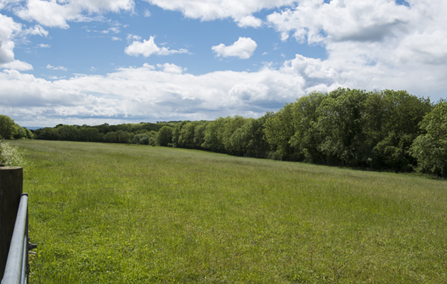 Upper Rushmire Farm-009