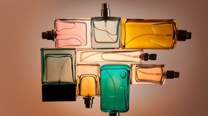 perfume flat lay of different scents