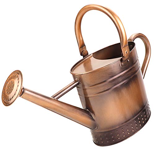 Megawodar 1 Gallon Metal Watering Can With Removable Spout, Nice Galvanized Steel Water Can With Embossed Design for Indoor and Outdoor Plants
