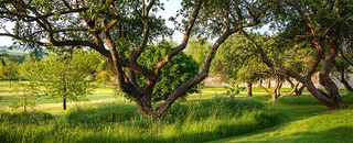 The Garden at Kingham Hill House, Oxfordshire, as designed by Rosemary Verey