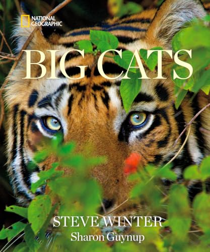 Big Cats
