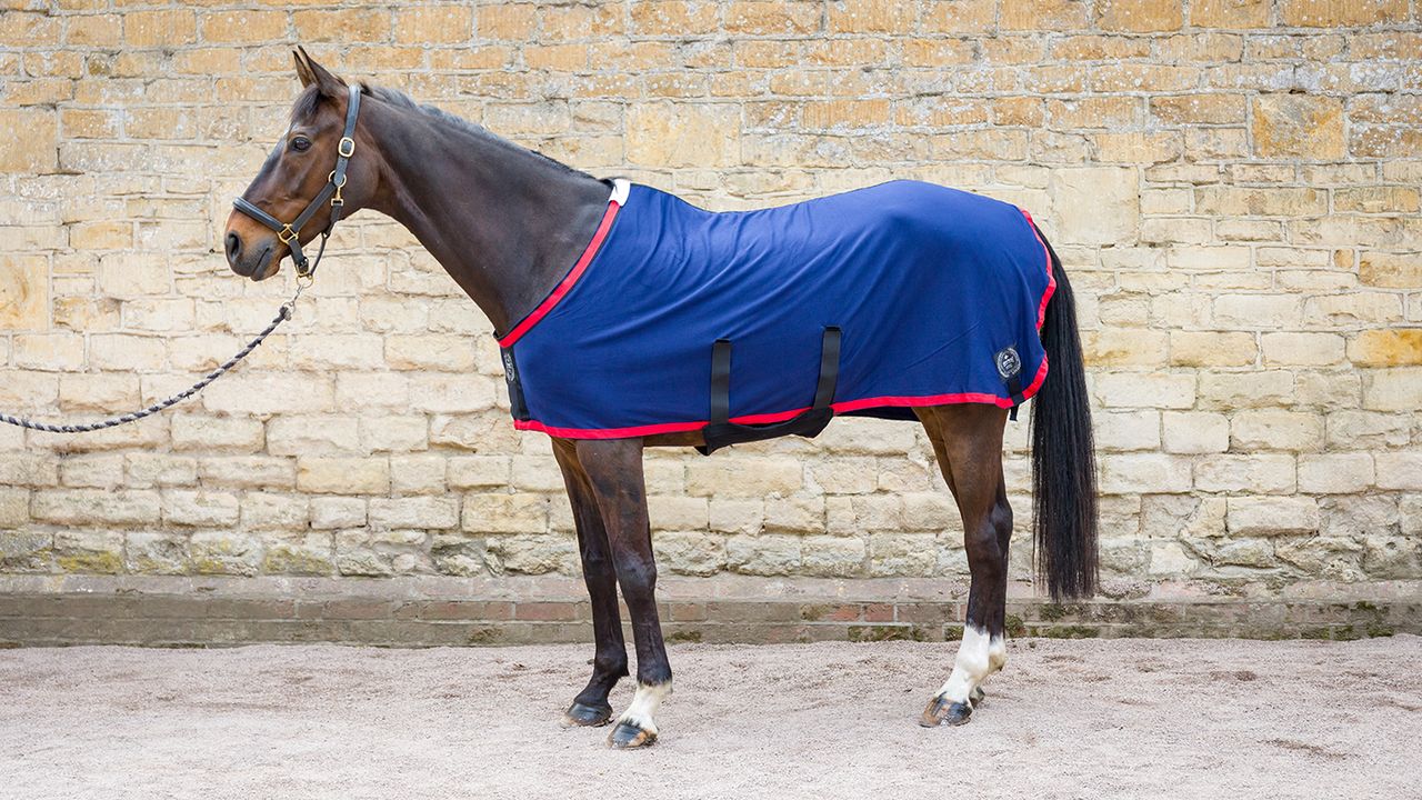 Herbb Body Hugger Original rug review