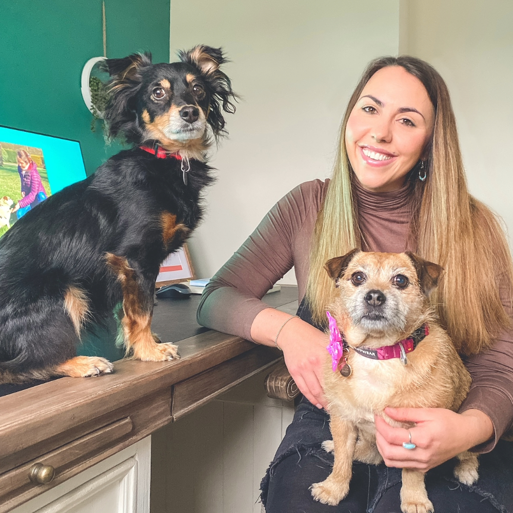 Rachel Rodgers sat down with a dog on her lap and another dog on the desk next to her