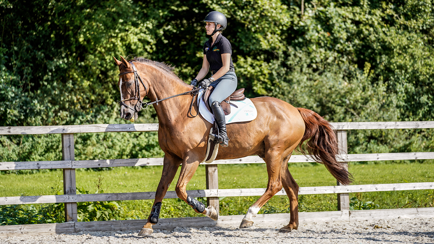 Charly Edwards demonstrates the collected canter