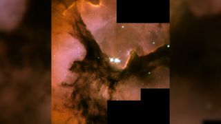 Image of the Trifid Nebula.
