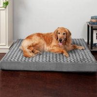 FurHaven NAP Ultra Plush Orthopedic Deluxe Dog Bed w/Removable Cover | Was $59.99, now $49.99 at Chewy