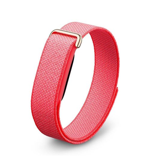 Fitbit Air with Performance Loop