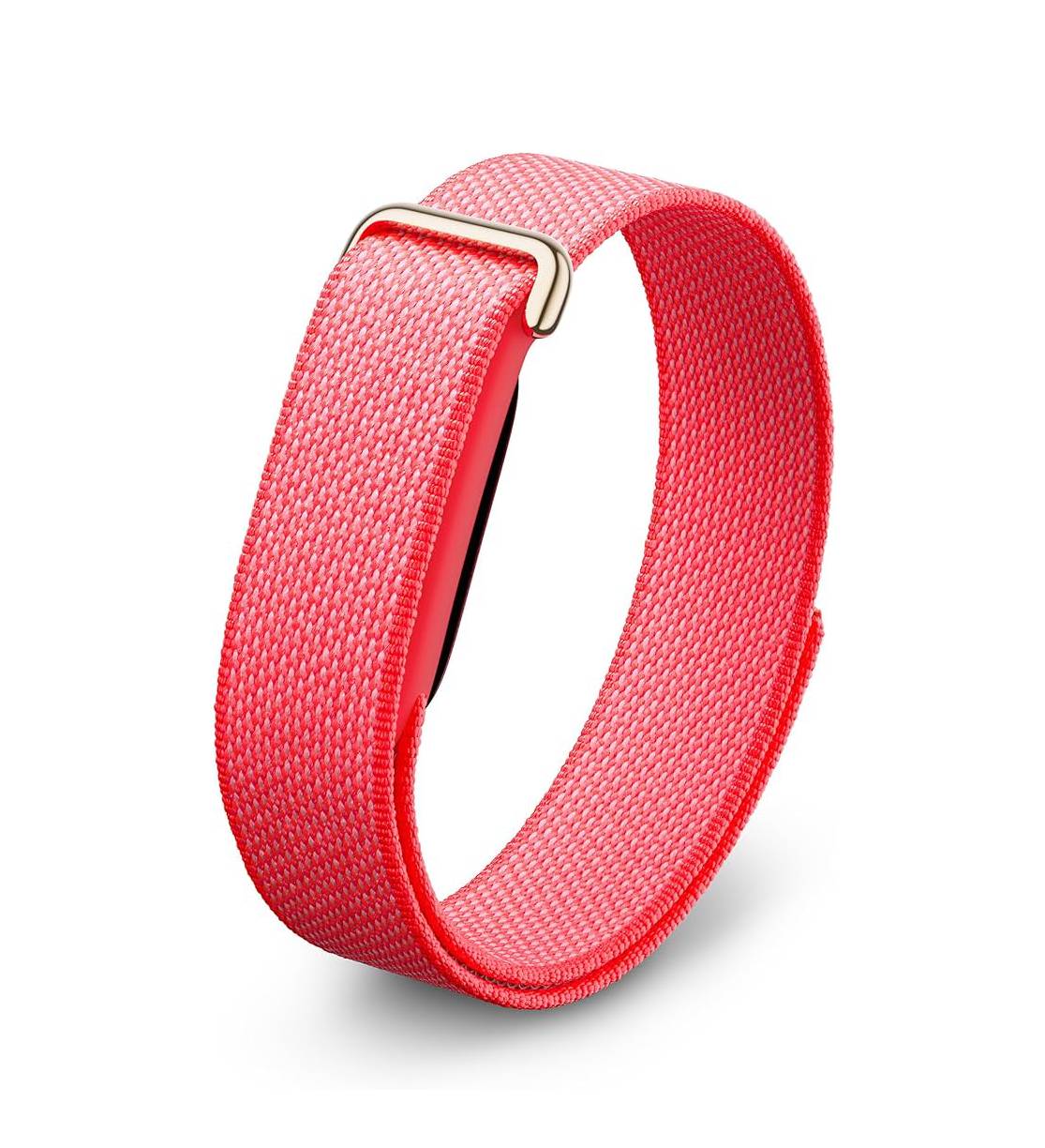 Google Fitbit Air