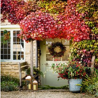 Front door, with wreath, red autumn creeping ivy and gravel