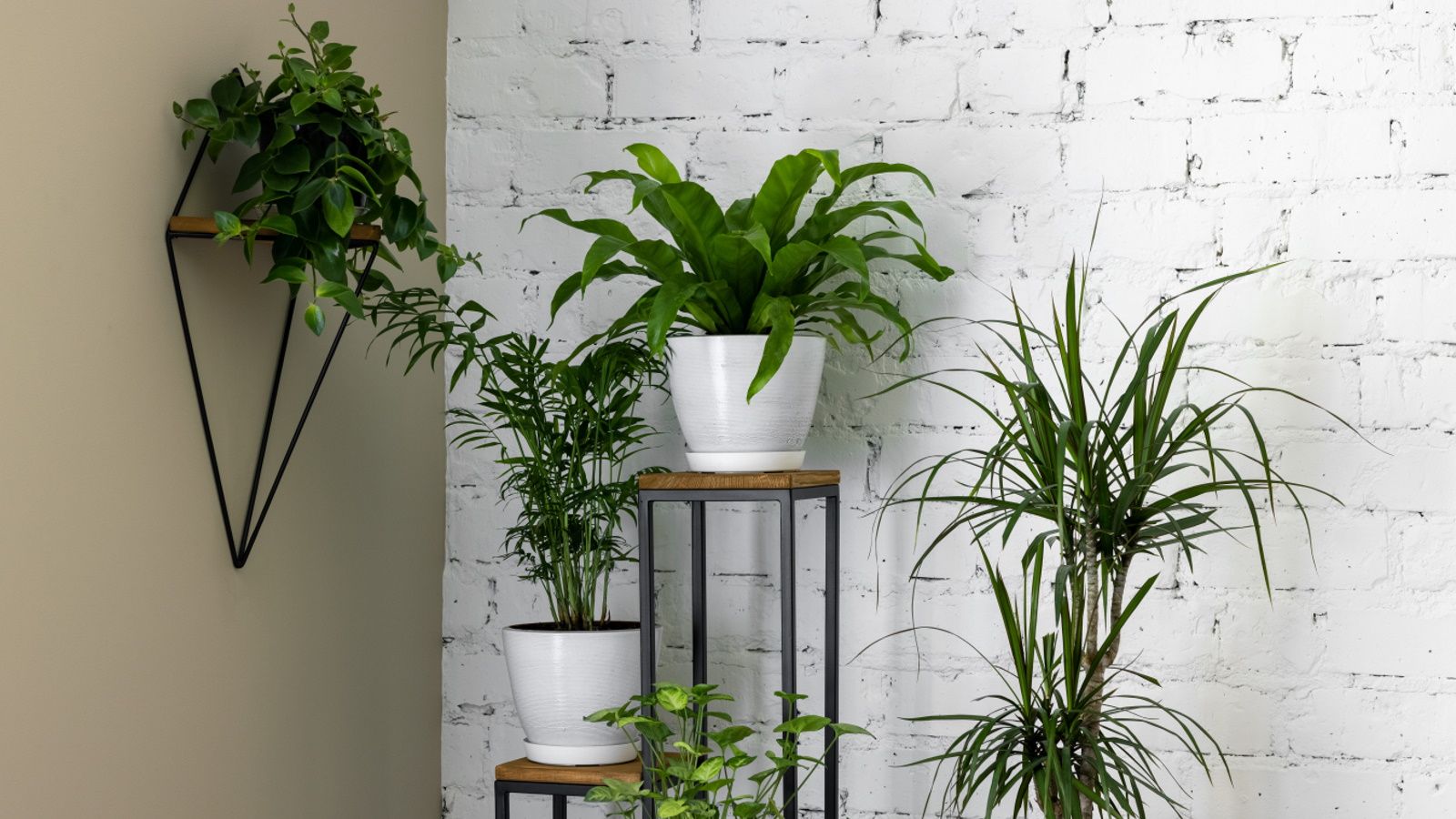Best plant stands for indoor plants: styling tips | Homes and Gardens