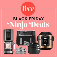 pink black friday ninja deals graphic 