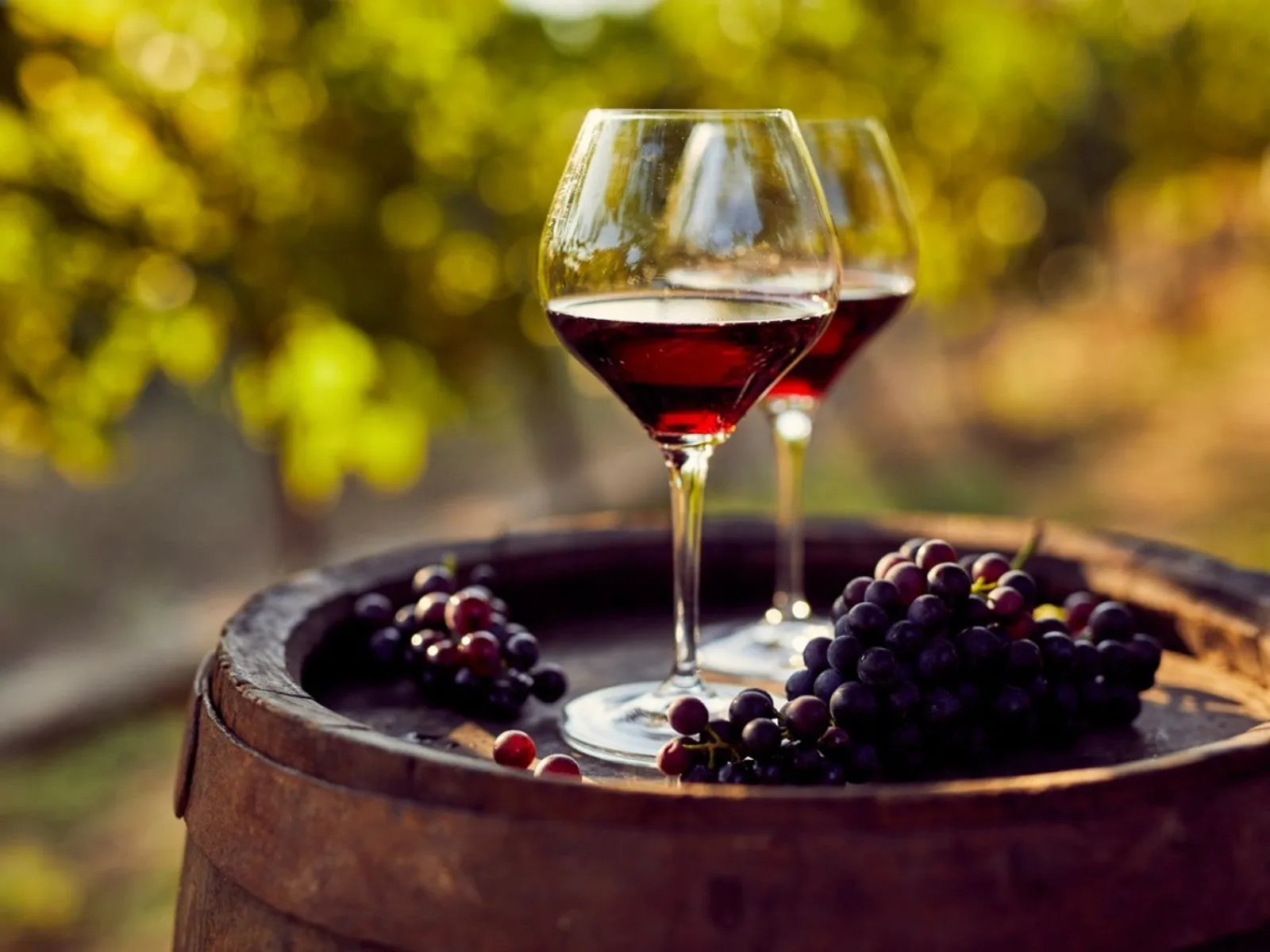 Rich crimson red wine being poured elegantly into a crystal tasting glass