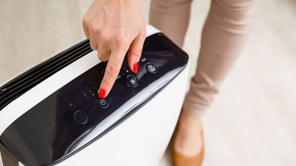 Do dehumidifiers help with allergies? Live Science