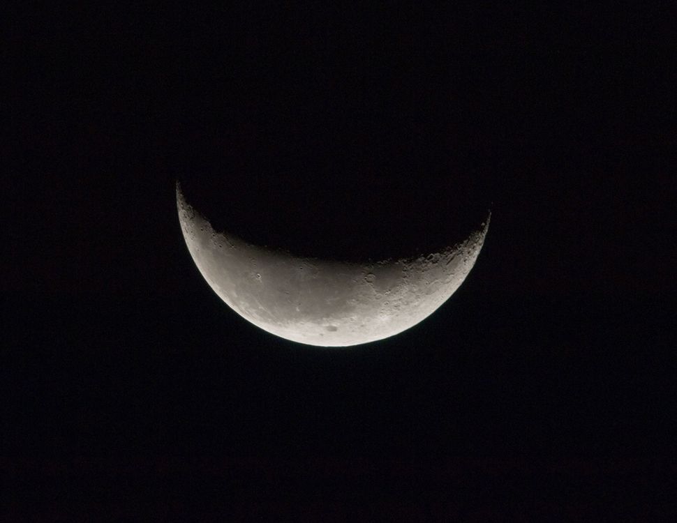 size of the moon in relation to earth