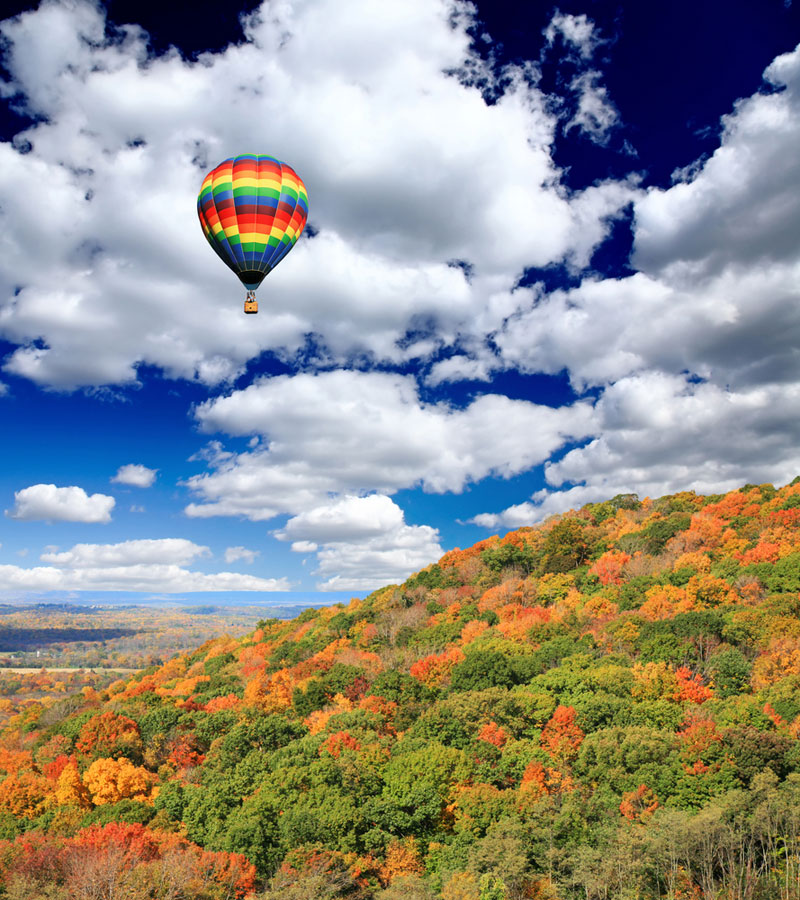 The colorful foliage of autumn