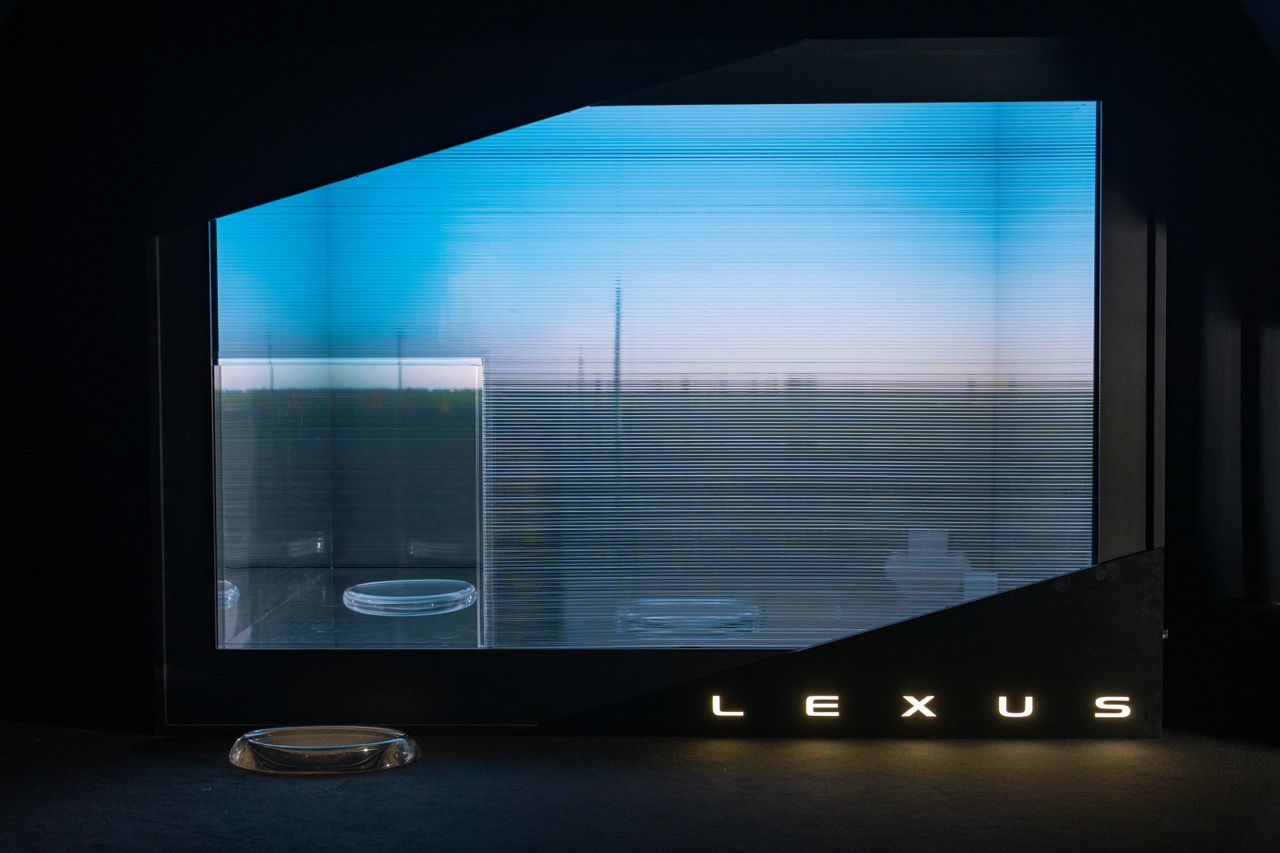 Discover Together installations