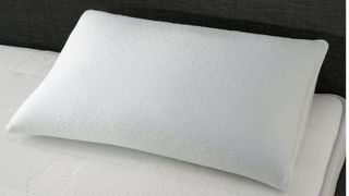 TheraPur® Memory Foam Ice Pillow press shot