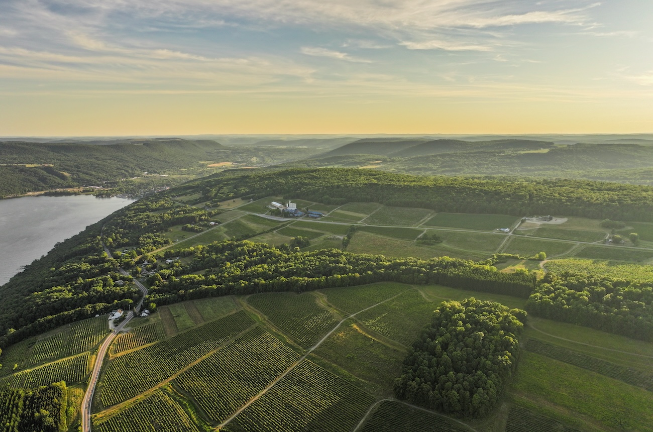 New York State Vineyards
