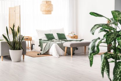 A white bedroom decorated with different houseplants