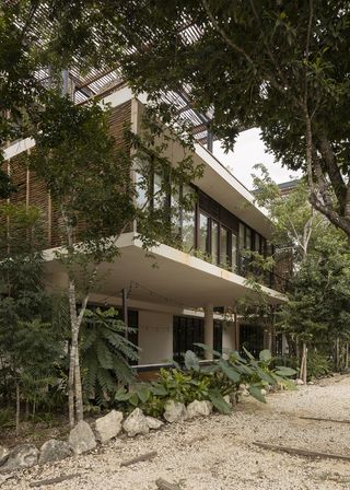 amelia tulum, a residential project in mexico where low volumes mix with greenery and mexican jungle