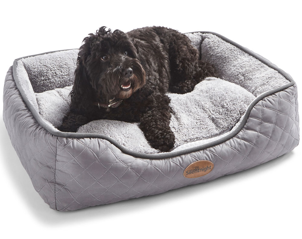 New Silentnight dog bed range – includes Orthopaedic beds for older ...