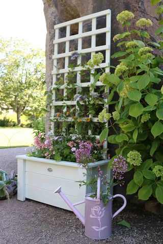 Green hairstreak paint from Thorndown Paints on trellis and planter