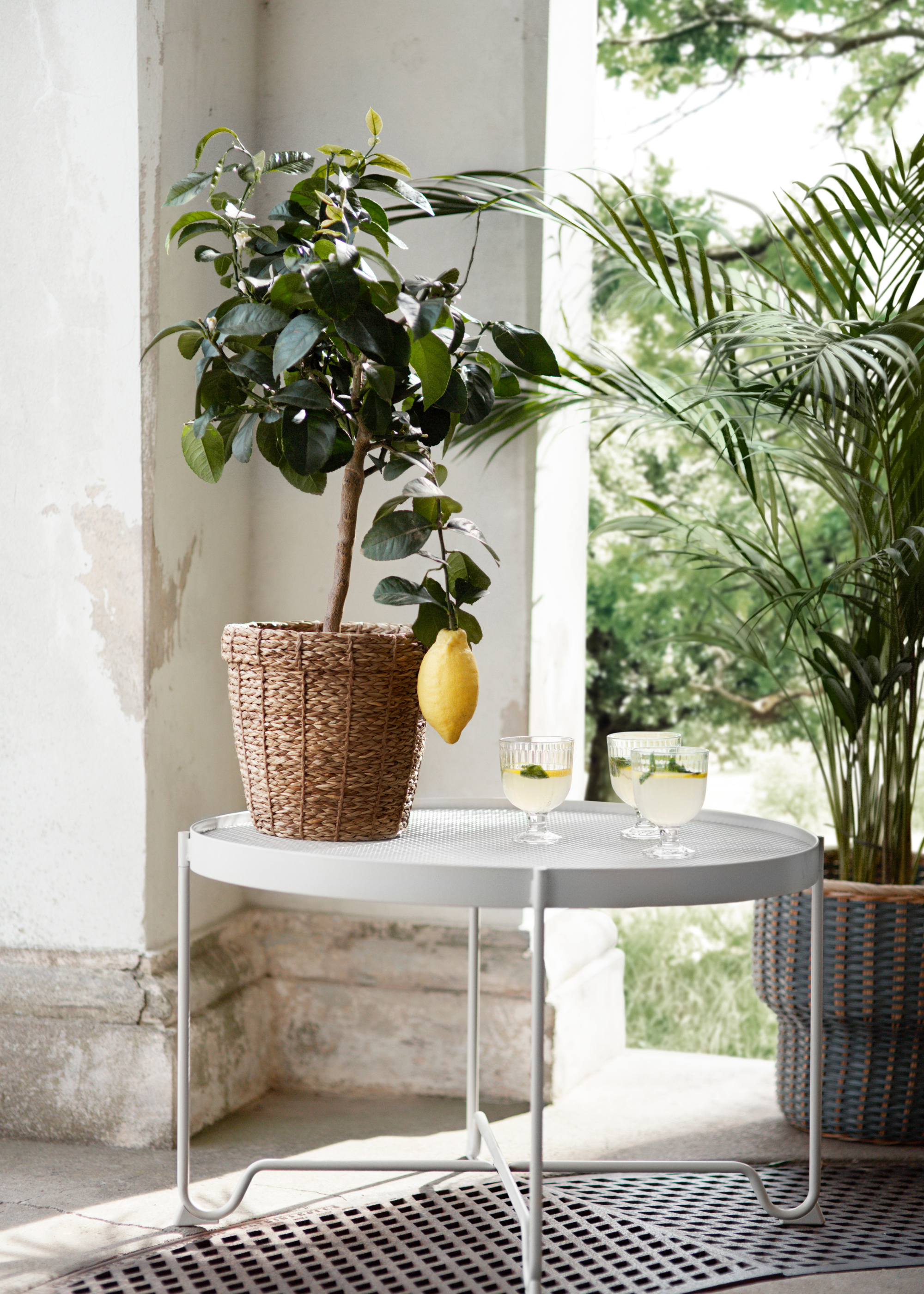 A white outdoor coffee table with a lemon plant on top and three glasses filled with a drink with a lemon and lime slice in each above a round grate and next to an outdoor wall with faded plaster