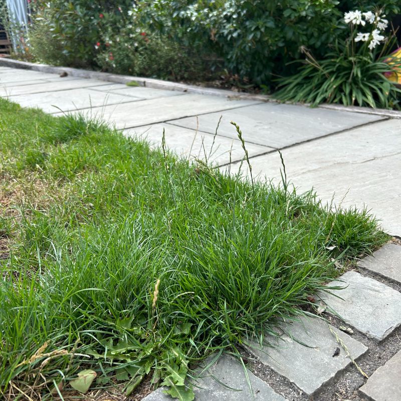 Vonhaus Cordless Lawn Mower 40V - before cutting corners