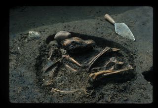 Dog burial from Horizon 11 of the Koster site, Greene County, Illinois, US. The fossil specimen at this site have a calibrated age of 8,500 years ago.