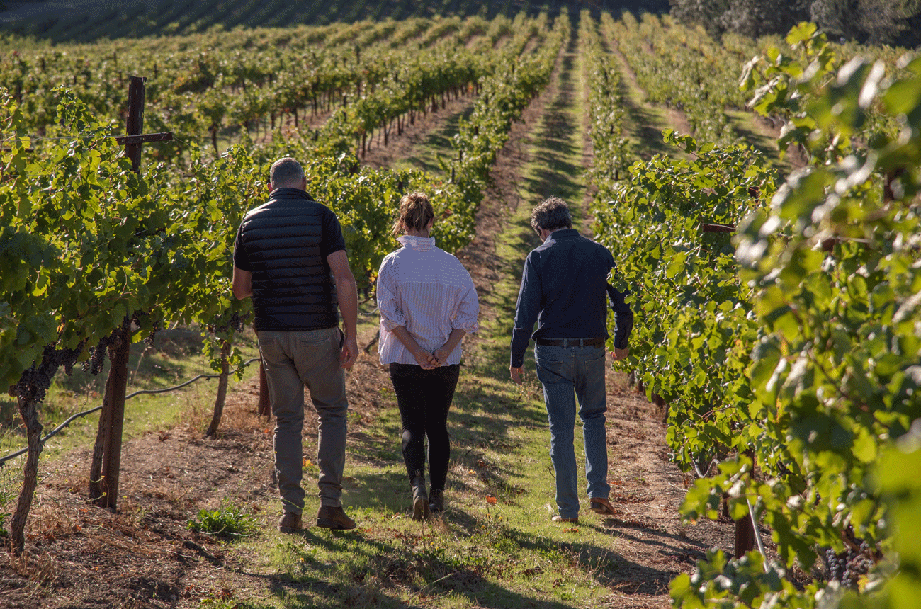 Penfolds California Collection