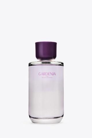 kS4oz7XoLn2YGpxhkUVmb3-320-80 14 عطر زارا الذي رائحة مثل العطور المصمم