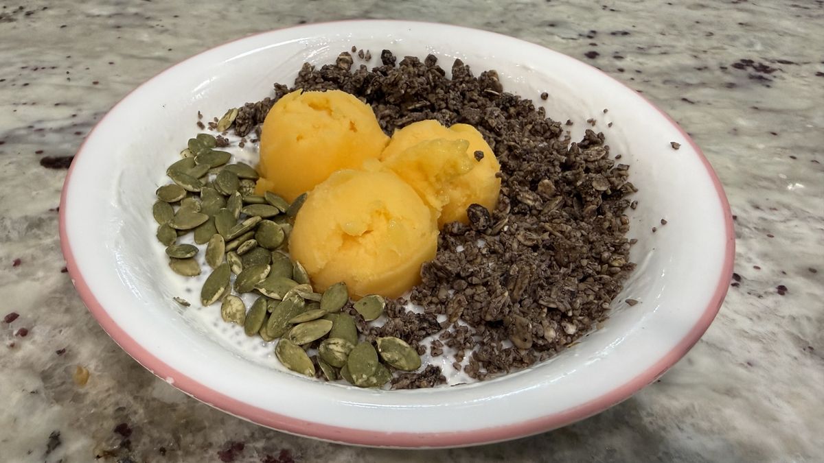Ninja Creami sorbet atop chia pudding