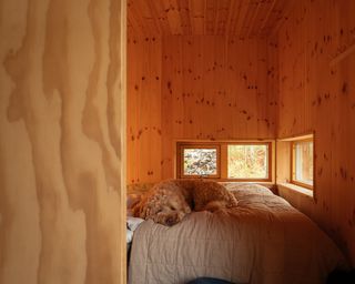 dog lies on bed in wood-clad bedroom