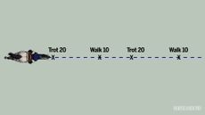 Web-diagrams13-2.jpg