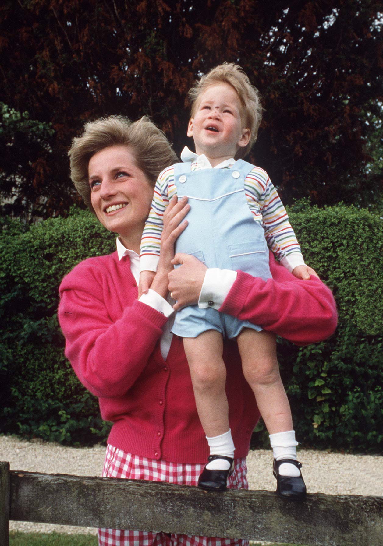 Princess Diana holding a toddler Prince Harry, who is standing on top of a fence