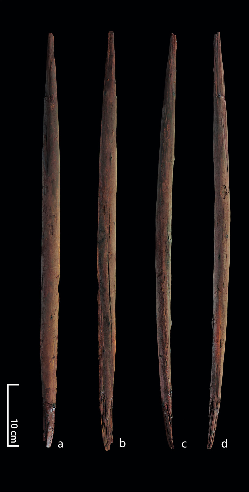 Four brown pointed edges against a dark background