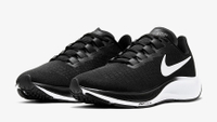 Nike Air Zoom Pegasus 37 (women's): was $120 now $76