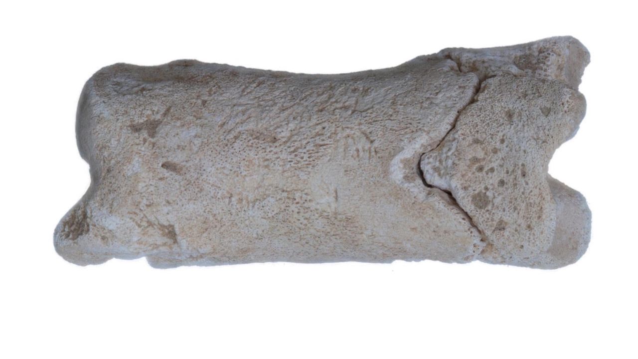 a side view of the bone whistle