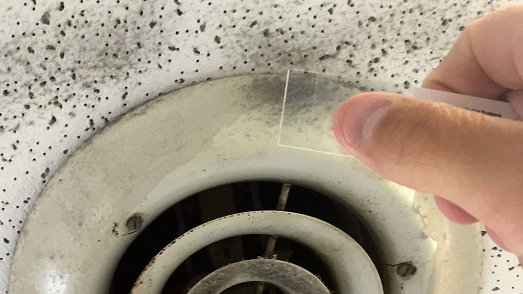 5 signs your home has mold (and how to deal with it) Top Ten Reviews