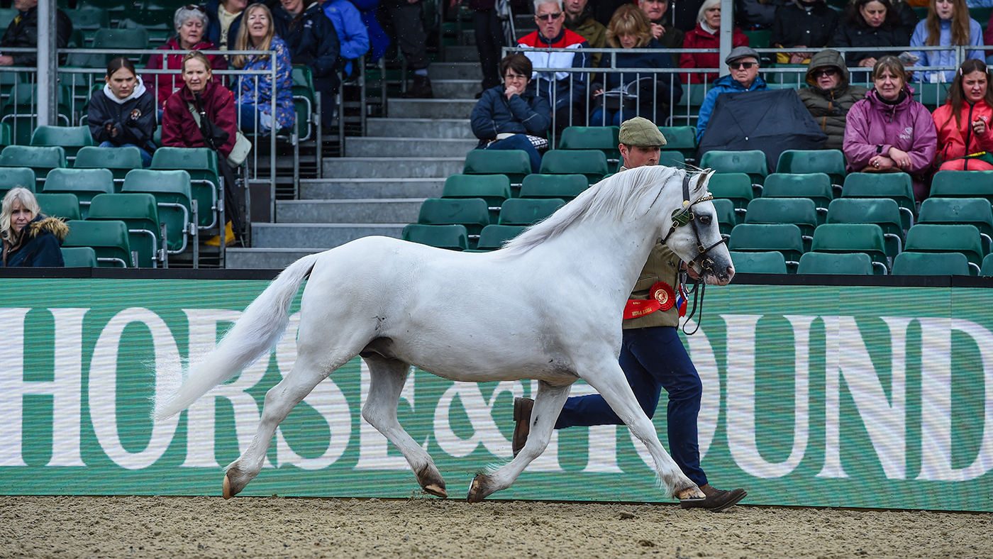 Royal Windsor Horse Show