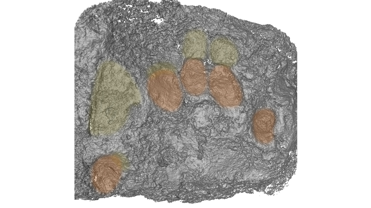 pieces of plaster with fingerprints in them