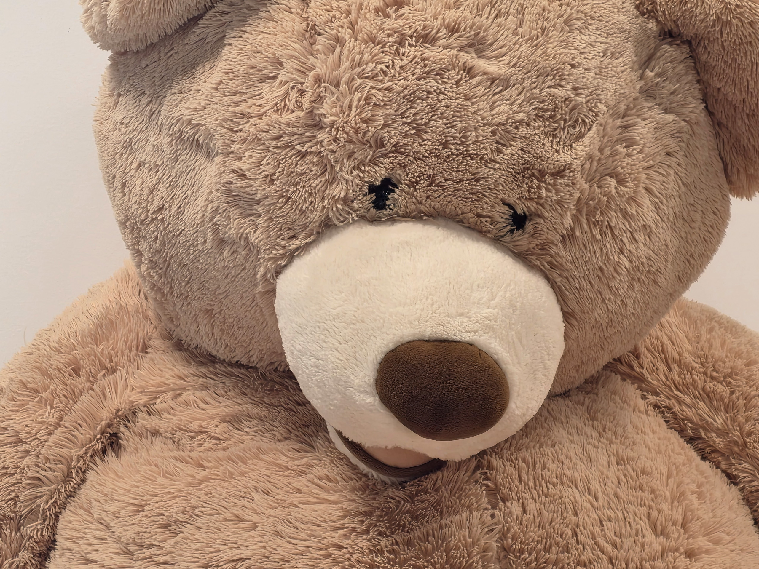 Camera sample captured on the Samsung Galaxy S25 Edge